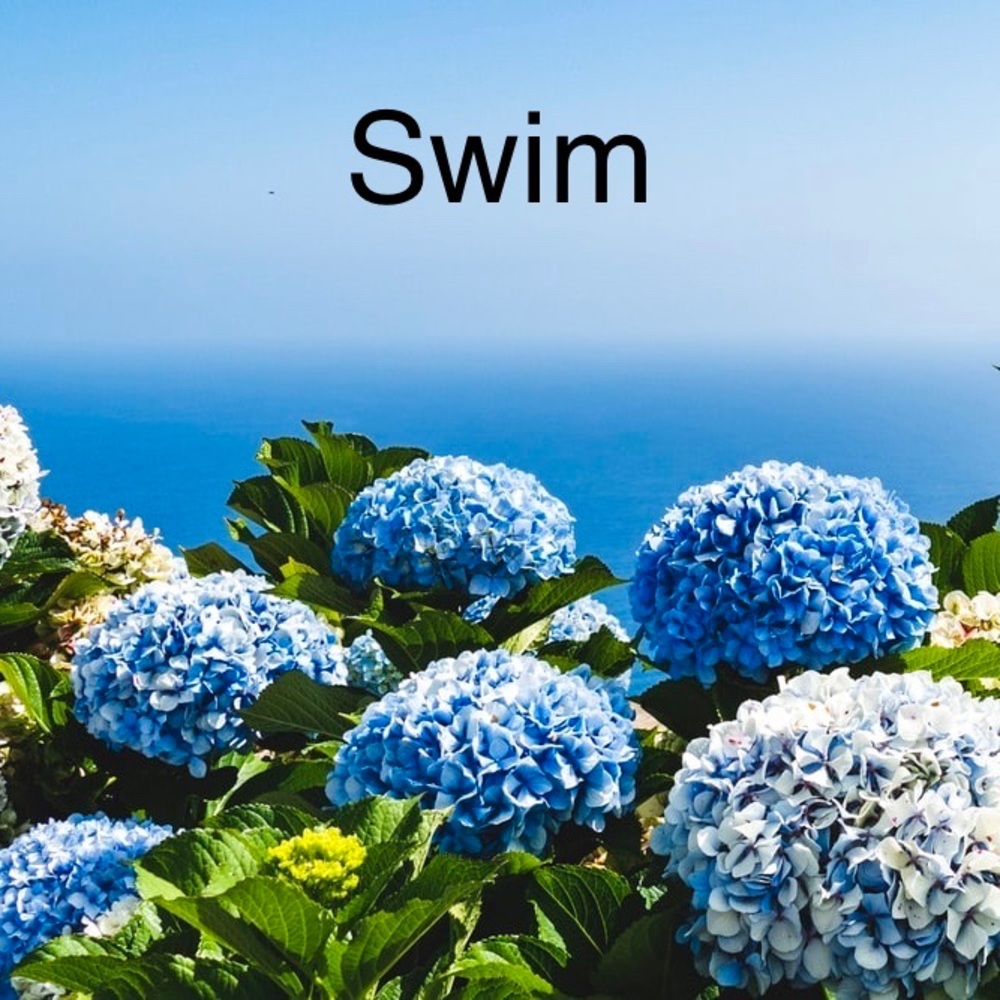 Swim
